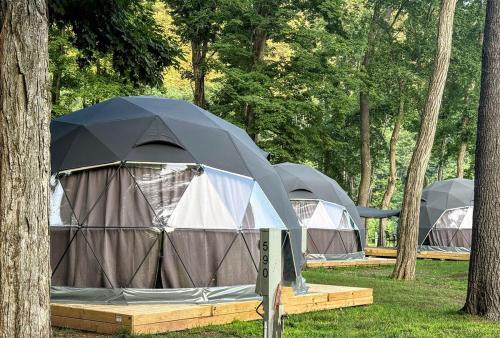 a row of tents in a park with trees at KOA Catskill Mountains Dome 2 in Gilboa