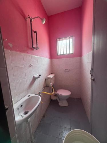 a pink bathroom with a toilet and a sink at Homestay Pangkor Ann in Pangkor
