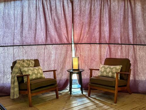 two chairs and a lamp in front of a pink curtain at KOA Catskill Mountains Dome 2 in Gilboa