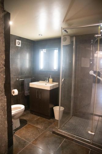 a bathroom with a shower and a sink and a toilet at Carrick Central Accommodation in Carrick on Shannon