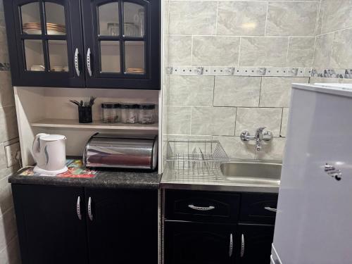 a small kitchen with a sink and a refrigerator at Nalana Guest House in Thaba Nchu