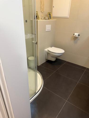 a bathroom with a toilet and a glass shower at Apartmán Kurt in Mariánské Lázně