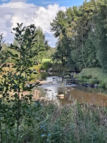 a river in a field with trees at Vainioranta, koko huoneisto in Perälä