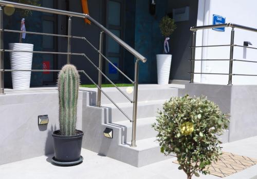 a set of stairs with a cactus on them at Apartment Simply 205 in Gázion