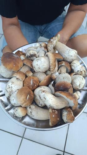 a person holding a plate of mushrooms on a table at La Rotonda in Lastebasse