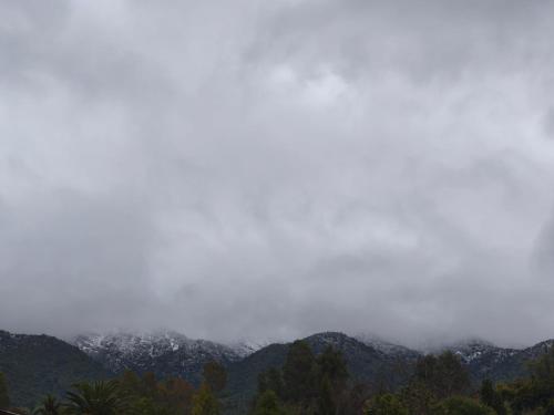 a foggy mountain range with trees in the foreground at Loftdonalejandro in Machalí