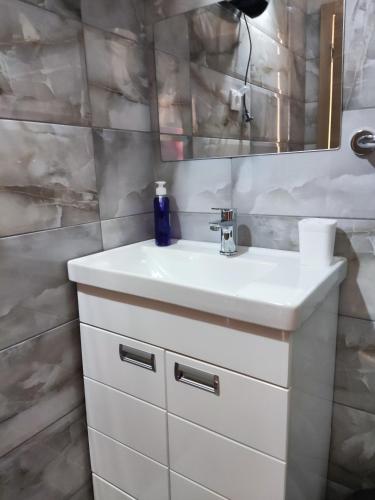 a bathroom with a white sink and a mirror at Jovičića Kuća in Mokra Gora