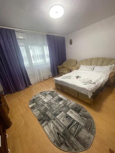 a living room with a bed and a rug at Sky KATERINNA in Brăila