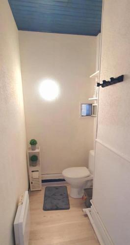 a bathroom with a toilet and a light on the ceiling at Le maupassant in Le Havre