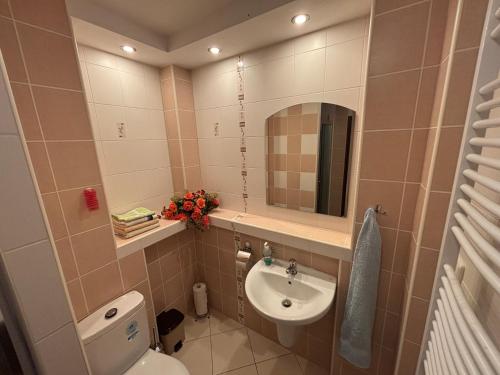 Ένα μπάνιο στο Ski&hike apartments Krkonoše - Janské Lázně