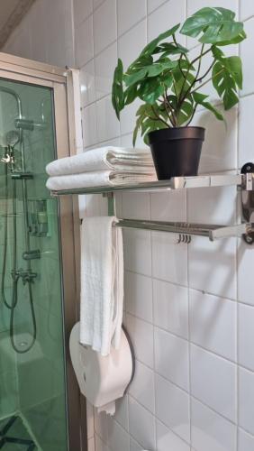 a bathroom with a toilet and a plant on a shelf at Hotel Asturias in Viña del Mar