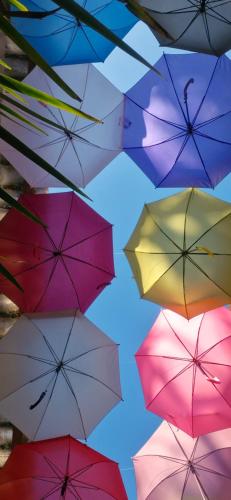 a bunch of colorful umbrellas hanging from the ceiling at Cores de Boipeba in Ilha de Boipeba