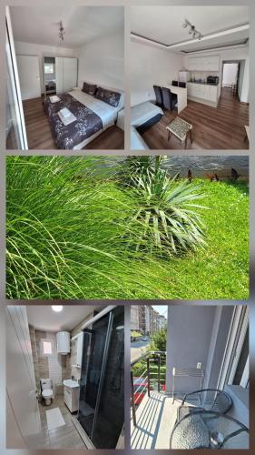 Ένα ή περισσότερα κρεβάτια σε δωμάτιο στο Soko apartments