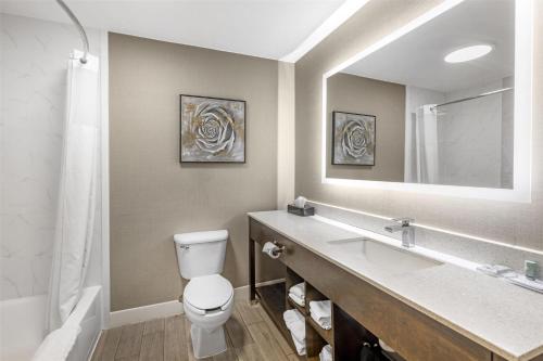 a bathroom with a toilet and a sink and a mirror at Best Western Independence Kansas City in Independence