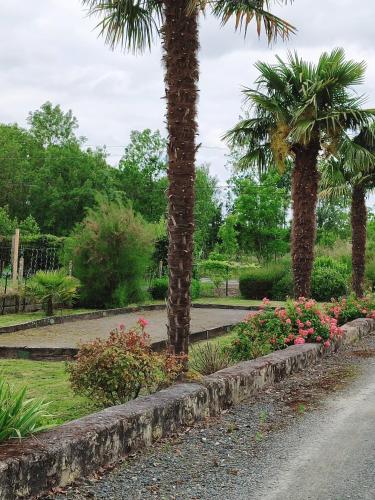 two palm trees and flowers in a park at -- Charmant Gîte au Calme -- "La Maison de La Taillée aux Volets Bleus" - Bord de Rivière - Pêche - Marais Poitevin - Vendée in La Taillée