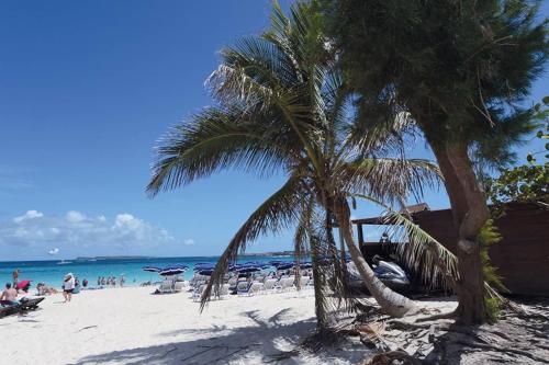 a palm tree on a beach with people on the beach at Villa Redfish in Orient Bay
