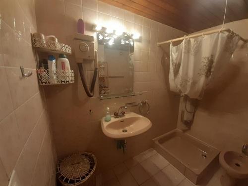 a small bathroom with a sink and a toilet at Appartement avec jardin privé à Montreux 100mt du lac in Montreux