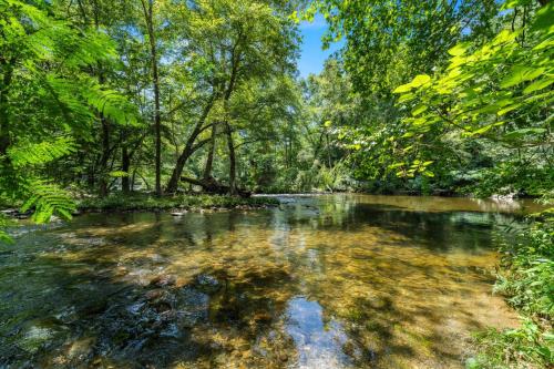 a river in the middle of a forest at On The Rocks in Sevierville