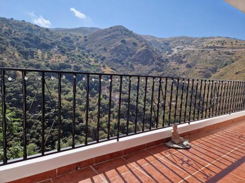 a cat sitting on a balcony looking at the mountains at The Retreat, Alcazar in Órgiva