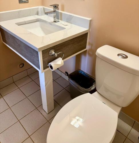 a bathroom with a white sink and a toilet at Swiss Village Inn in Golden