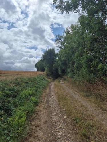 a dirt road in the middle of a field with trees at Maison spacieuse 8 couchages proche cascade lac et base de loisirs et de bien être in Lacaze
