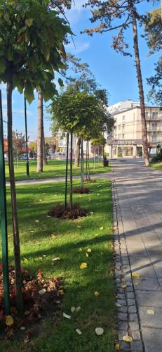 Κήπος έξω από το Soko apartments