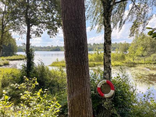 a bird house hanging from a tree next to a lake at 4 star holiday home in TYRINGE in Tyringe