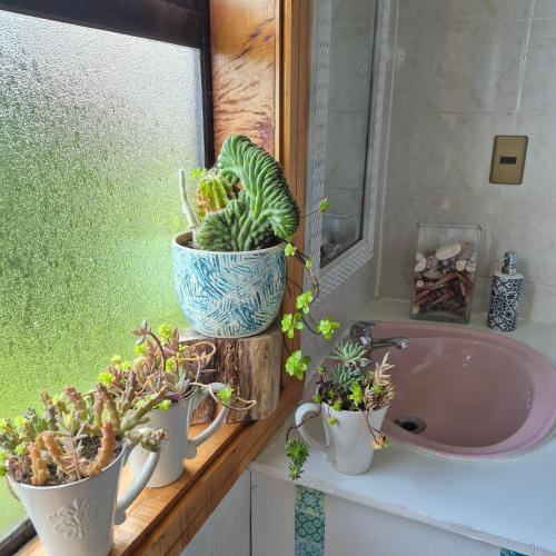 a bathroom with four potted plants on a window sill at Hostal Boutique El Vergel Azul in Castro