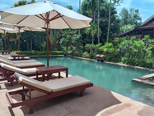 ein Swimmingpool mit Liegestühlen und einem Sonnenschirm in der Unterkunft Maison Model d'Angkor in Siem Reap