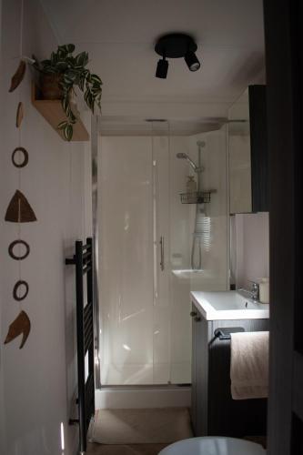 a bathroom with a shower and a toilet and a sink at 't Veluws Nest - Knus Chalet Veluwe - Hoenderloo, Honden welkom in Hoenderloo