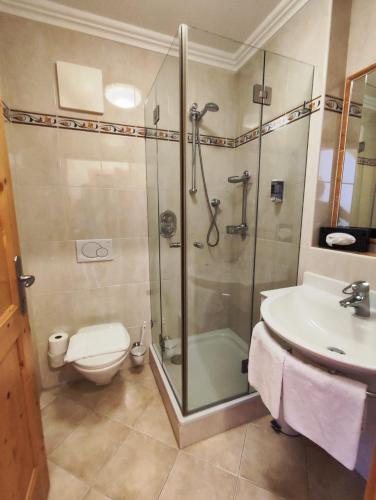 a bathroom with a shower and a toilet and a sink at Hotel Gut Kramerhof in Kirchdorf in Tirol