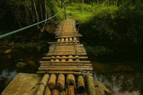 a wooden walkway over a river in a forest at Wetlands Wayanad Pool Resort with Natural Waterfalls in Padinjarathara