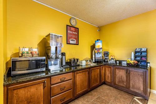 キングスランドにあるEcono Lodge Kingslandの電子レンジ付きのカウンタートップを備えたキッチン