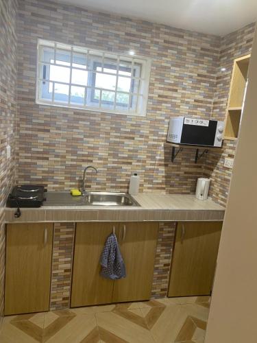 KwabenyaにあるLouis Apartmentsのシンクと電子レンジ付きのキッチン