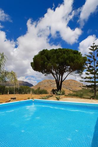 a blue swimming pool with a tree in the background at Villa Calatafimi Segesta in Calatafimi