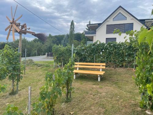 a wooden bench sitting in a field of vines at Weinloft Gamlitz in Gamlitz