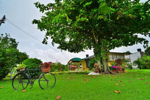a bike parked in a yard next to a tree at Villa Hortencia in Fusagasuga