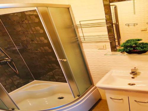 a bathroom with a shower and a sink at Comfortable holiday homes with terraces in Przewłoka