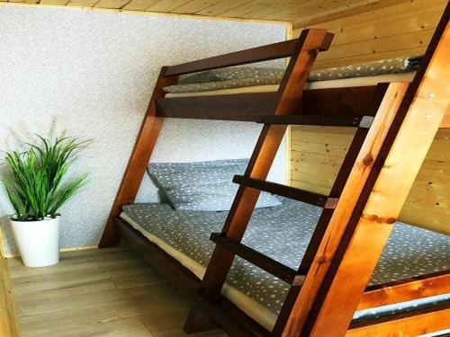 a ladder to a bunk bed in a room with a plant at Comfortable holiday homes with terraces in Przewłoka