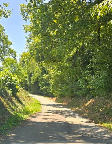 a dirt road with trees on both sides at Kuća za odmor Mia in Gornja Gračenica