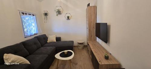 a living room with a couch and a tv at Kuća za odmor Mia in Gornja Gračenica