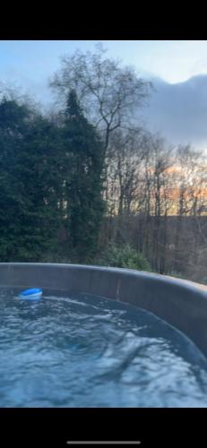 a bath tub filled with blue water with trees in the background at The Old Mount Manor - Causeway Coast in Coleraine