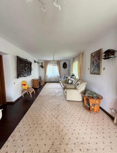 a living room with a couch and a rug at Комфортний будинок для сімейного відпочинку в Ржищеві in Rzhyshchiv