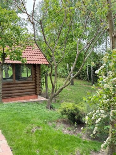 a cabin in a yard with green grass and trees at Комфортний будинок для сімейного відпочинку в Ржищеві in Rzhyshchiv
