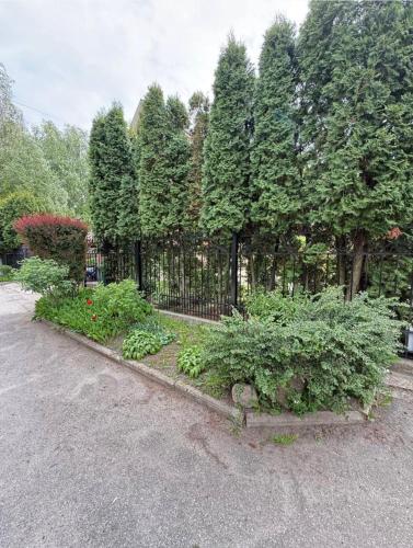 a wrought iron fence with bushes and trees at Комфортний будинок для сімейного відпочинку в Ржищеві in Rzhyshchiv