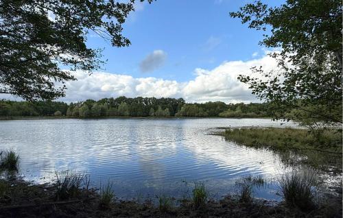a large body of water with trees in the background at 3 Bedroom Beautiful Home In Gees in Gees