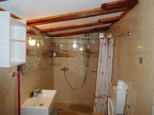 a bathroom with a shower and a sink at ΑΡΧΟΝΤΙΚΌ Μουζάκι ΚΑΡΔΙΤΣΑ ΤΡΙΚΑΛΑ in Mouzákion
