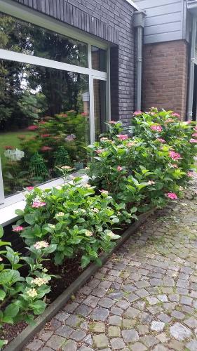 Taman di luar Villa Berk en Heide