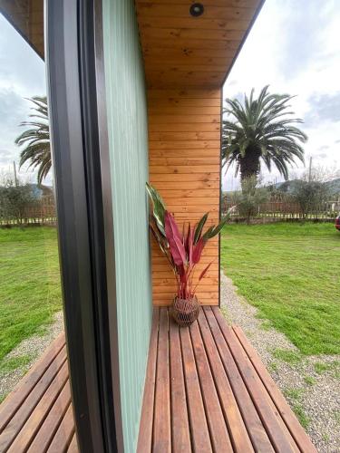 Jardin de l'établissement Refugio Modular