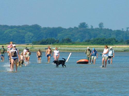 a group of people walking in the water with a dog at 5 person holiday park in Bogense in Bogense